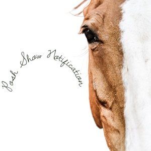 Rhonda's Live Show Notification